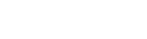 BAVO SYSTEMS LOGO-11